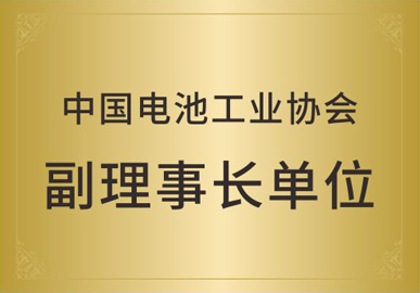 中国电池工业协会副理事长单位